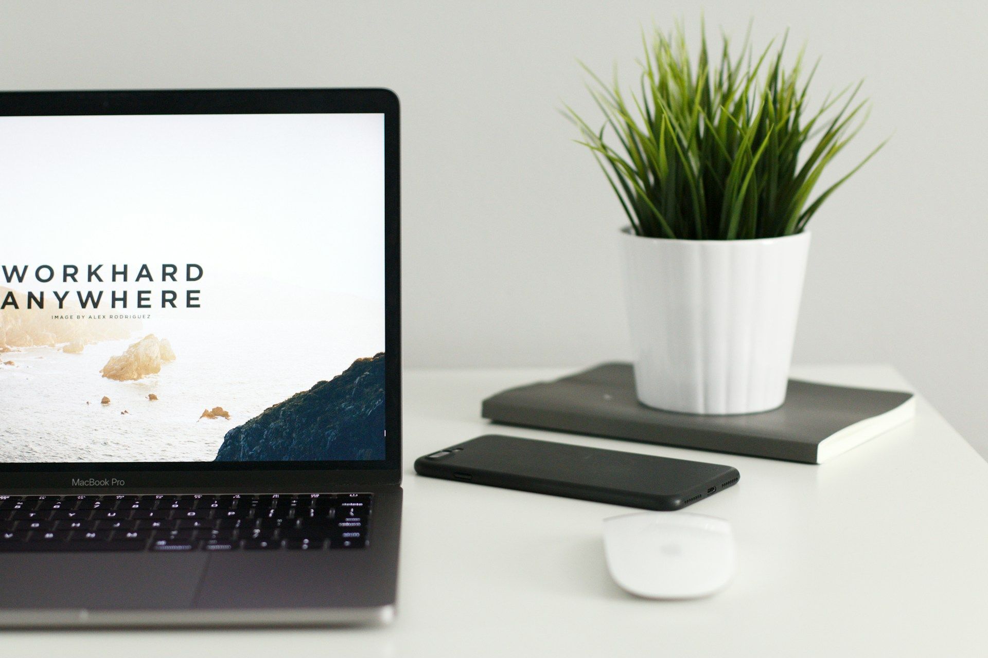 realizzazione siti web vivai e garden