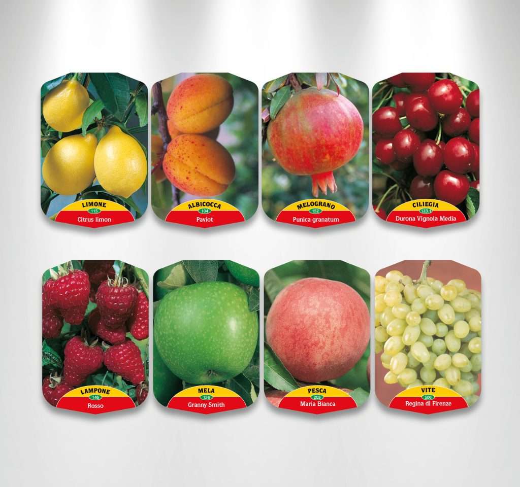 etichette per piante da frutto